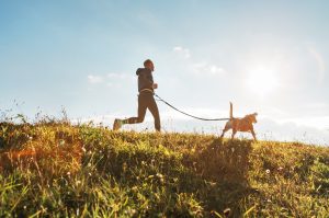 Sports canins : 6 activités à pratiquer avec son chien