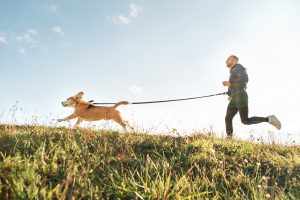 Canicross : le guide pour débuter la course à pied avec votre chien