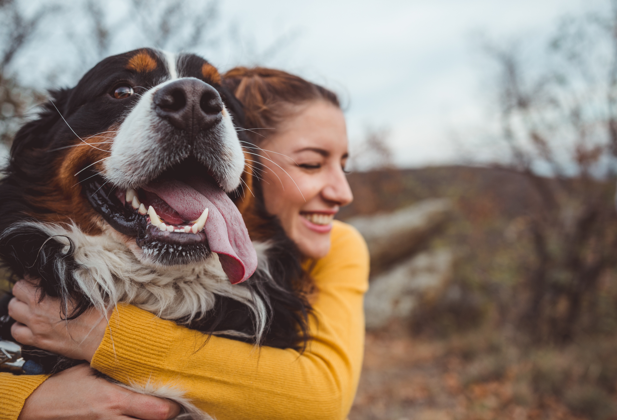 Les bienfaits d’avoir un chien pour votre santé